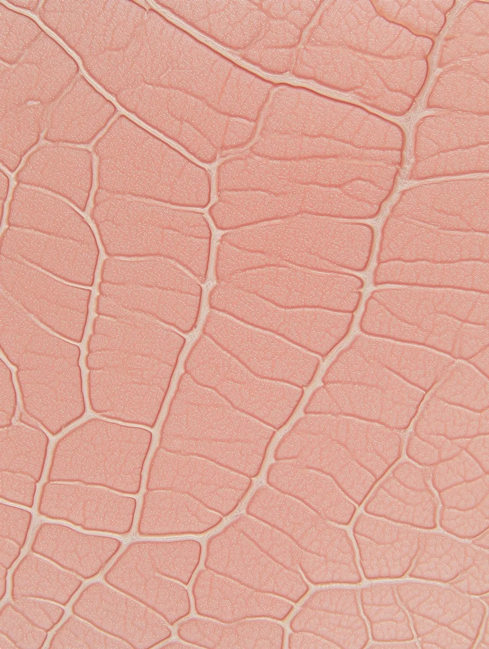 The word community with a heart.